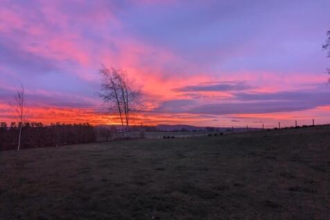 Sunrise Hawkshaw ...