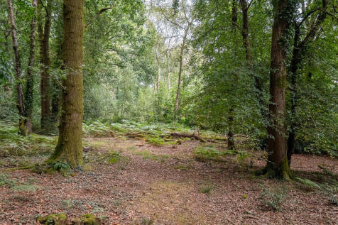 Property Image 35