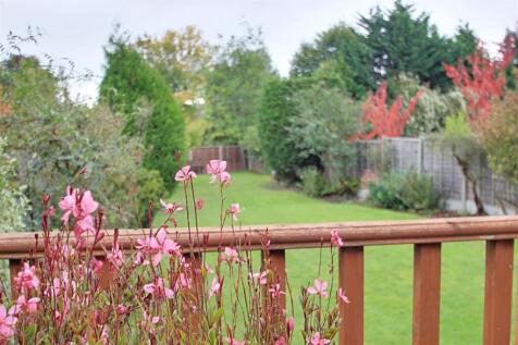 Garden.jpg
