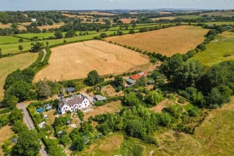 Drone View