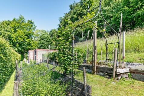 Vegetable Garden