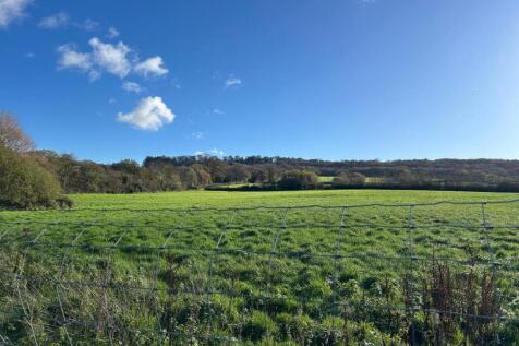 WhatsApp Image 2025-11-20 at 12.22.27.jpeg