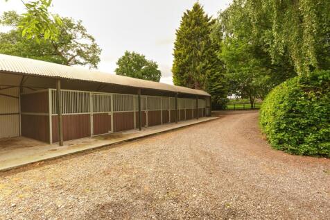 Job_7422_prv_Optimizer - By sep neg.jpg