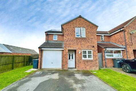 Picture No. 03
