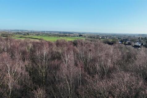 DJI_20260128104340_0989_D.JPG