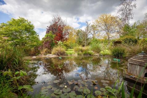 Birchwood_Pond