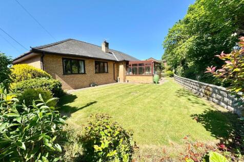 PHOTO-2025-06-10-15-00-38 (6).jpg