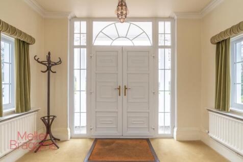 20250321-20250321-DSC07261 (2).jpg