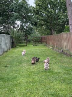 Property Image 29