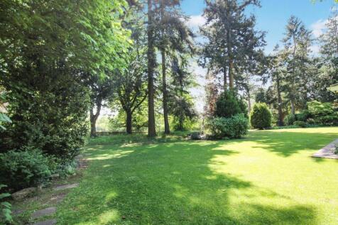 tlc_bf02931f-c7f8-4ff9-a3d4-b2e10ceabf94_7331cf2.j