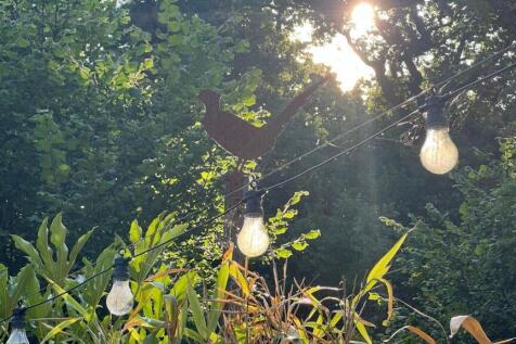 Summer Photo Garden