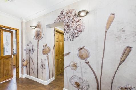 CAM03830G0-PR0223...