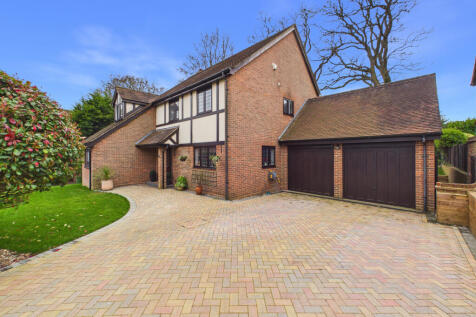 CAM02536G0-PR0062-STILL034