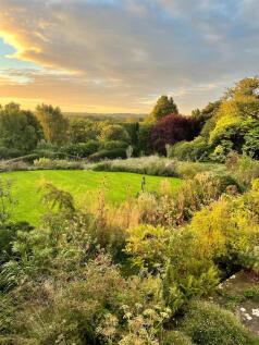 Area View (Original)