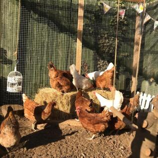 WhatsApp Image 2025-07-09 at 16.43.04_2a2f1747.jpg