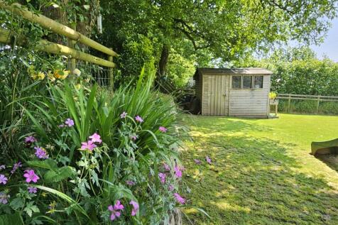 Nomansland - Seddons