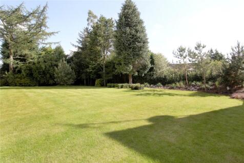 Grounds