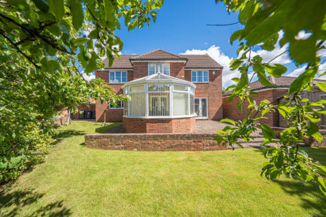 Property Image 39
