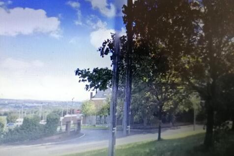 IMG 20260412 164559 T202604211354.jpg