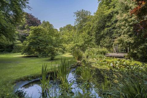 Upper Garden - Wildlife Pond