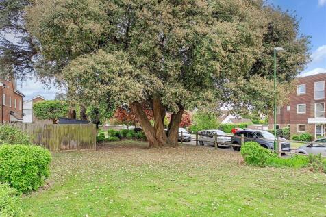 Communal Garden