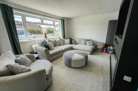 tlc_05e63523-ec6d-4926-b429-488631e7a8b2_45479c0.j