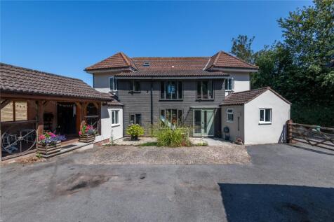 Front Shot
