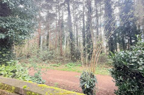 Woodland At Rear