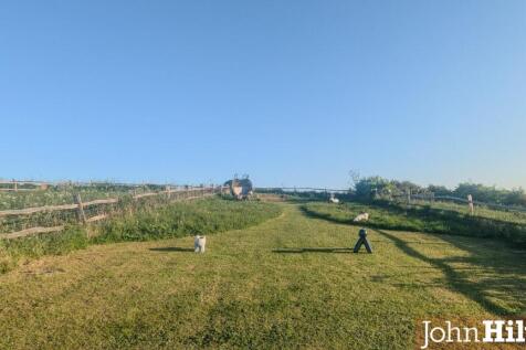 Coombe Rise2.jpg