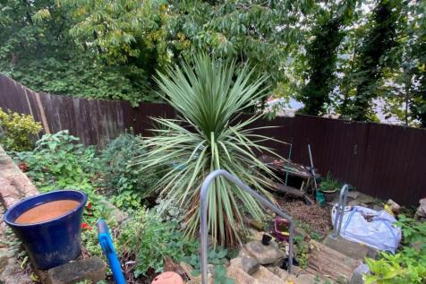 rear garden.jpg