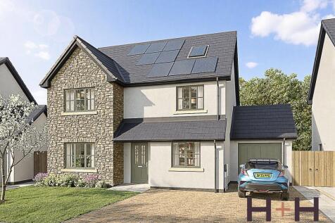 62 Seedfield