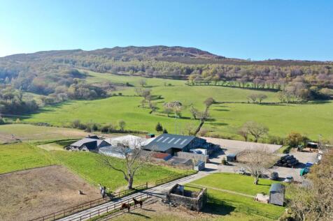 PHOTO-2025-04-12-18-39-52 (5).jpg