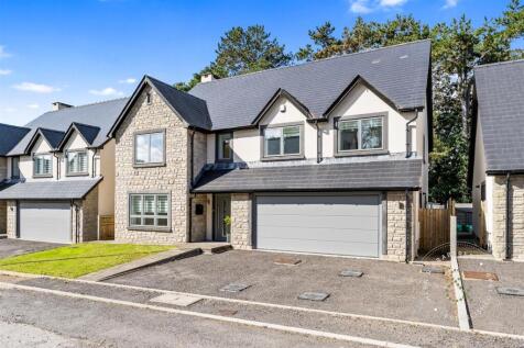 The Paddock (55).jpg