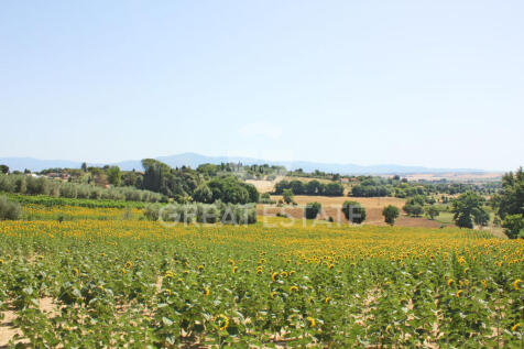 Panorama e Particolari