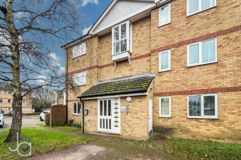 20241228_14030875...