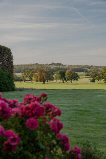 314150 - _A741278.jpg