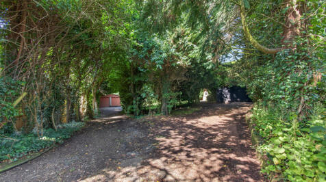 Property Image 34