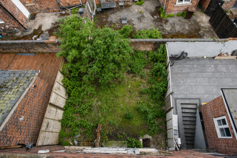 Garden T202604240858.png