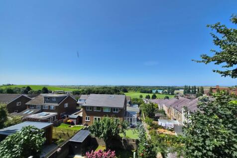 Views from the Terrace