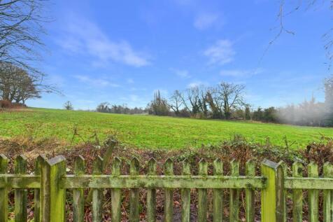 CAM03473G0-PR0550-STILL033.jpg
