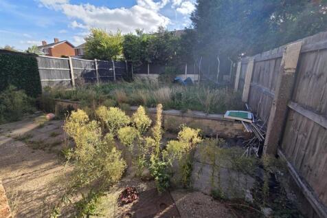 rear garden.jpeg