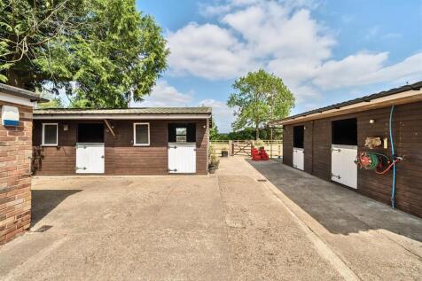 1296642-9-682600e3a0e6a-ARW.nef (5).jpg