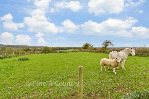 External Lifestyle Photograph