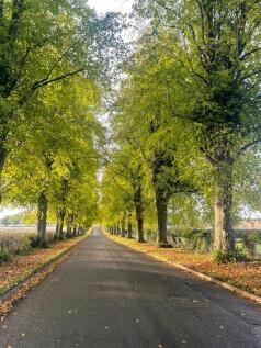 Vendor Supplied Access Road