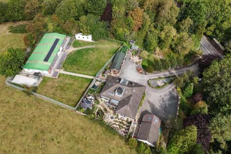 dji_fly_20250905_112652_0009_1757406651690_photo.j