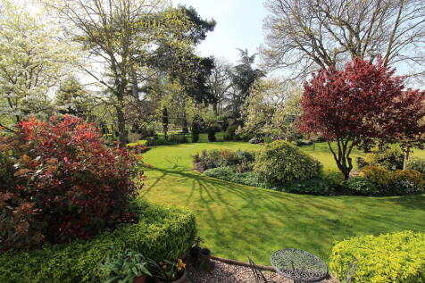 Property Image 49