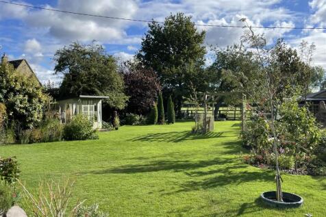 Garden 2.JPG