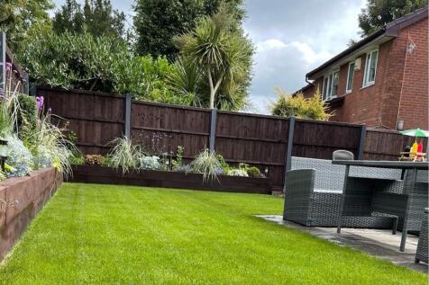 Garden (Summer)