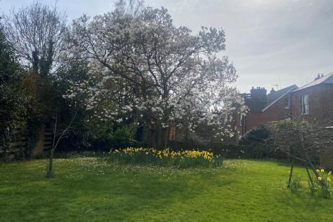Communal Garden
