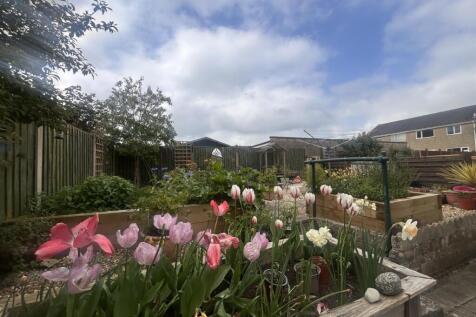 garden 1.jpg